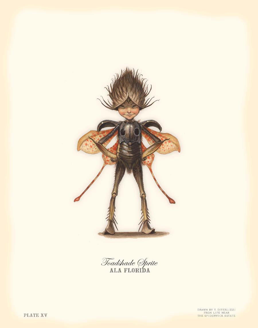 The Field Guide by Tony DiTerlizzi